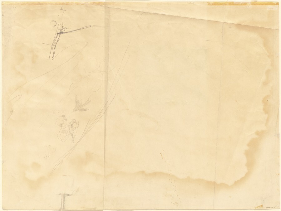 Study for "Wind from the Sea" (verso) - Andrew Wyeth