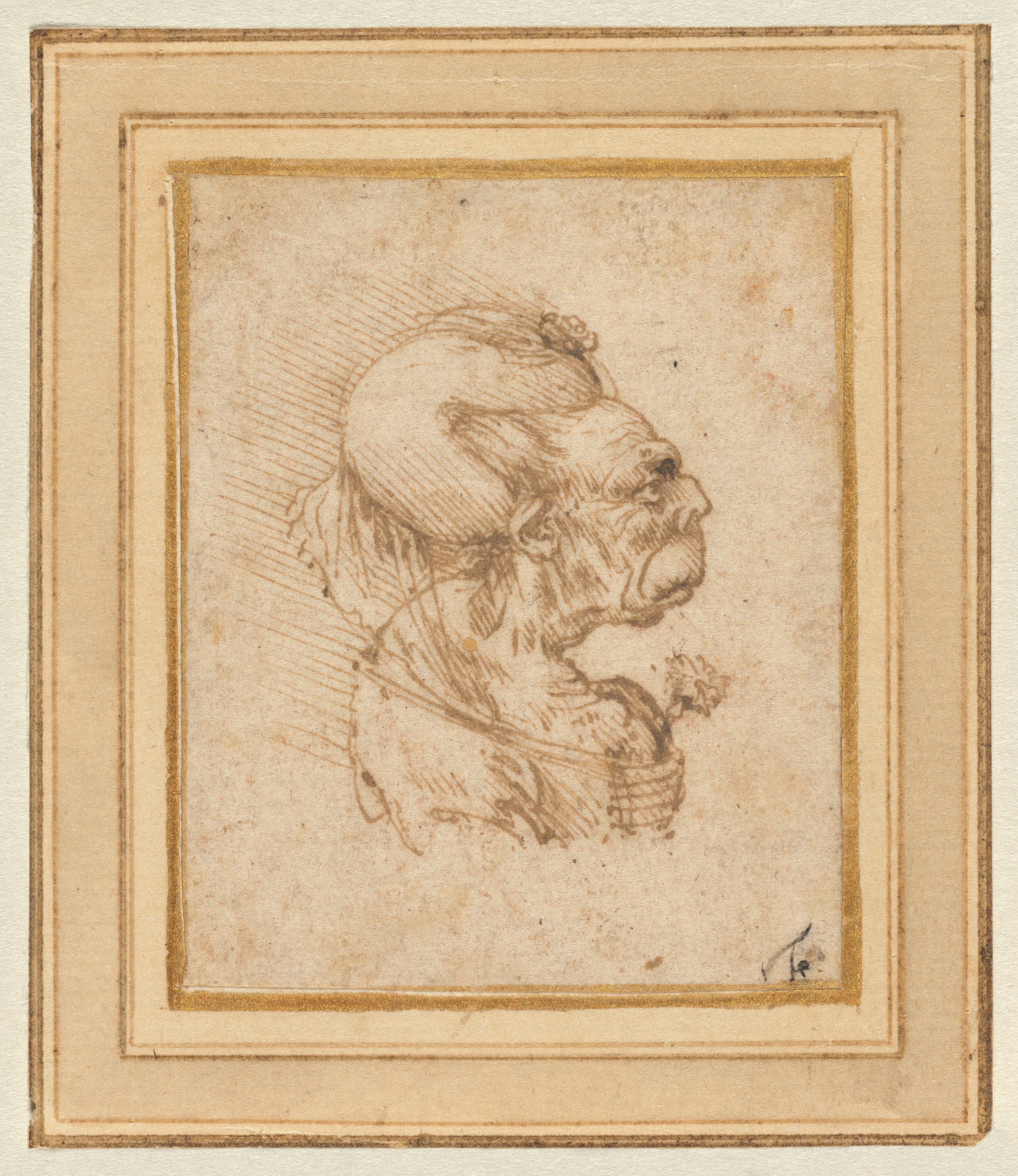 Grotesque Head of an Old Woman - Leonardo da Vinci