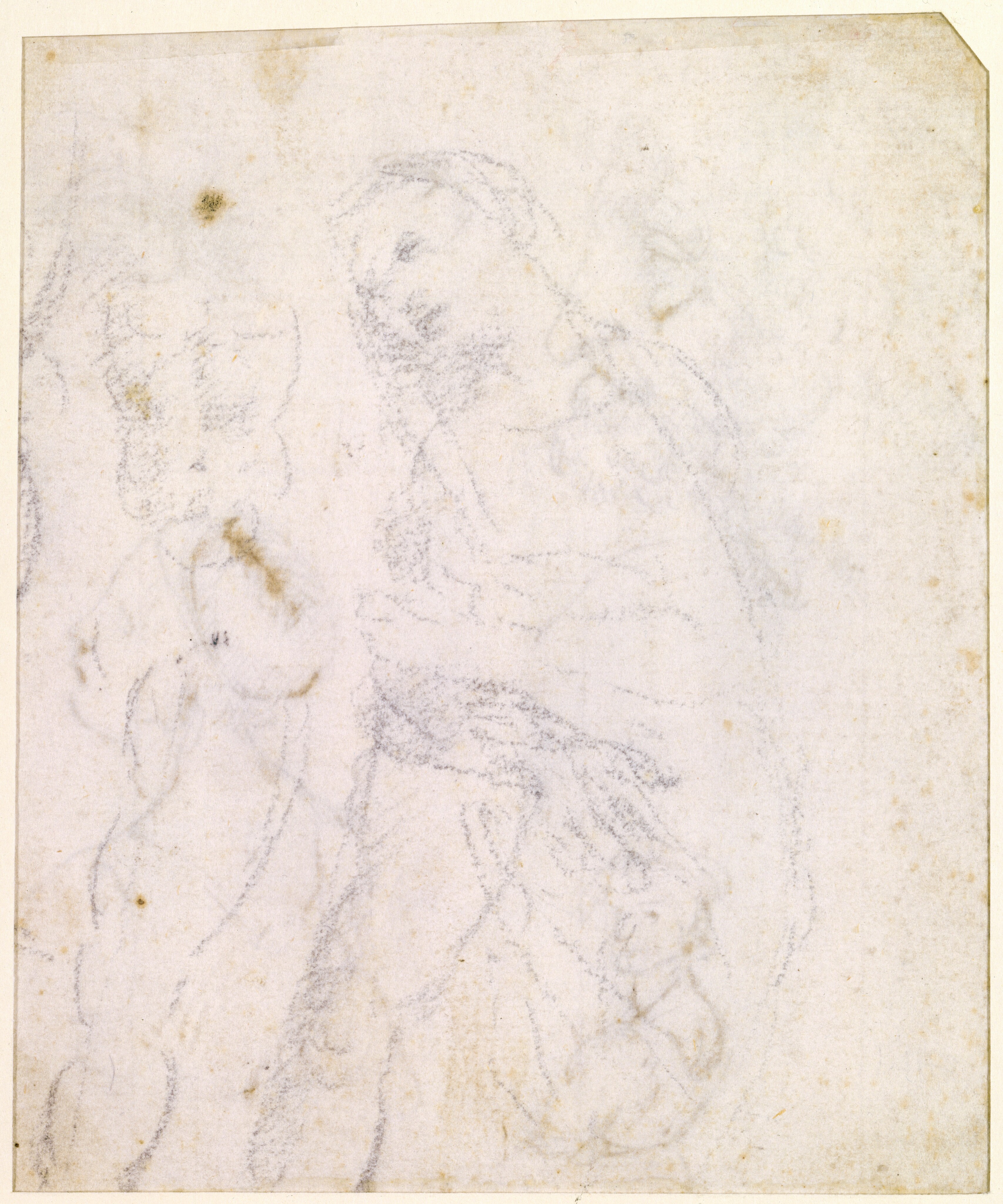 Study of a Madonna [verso] - Leonardo da Vinci
