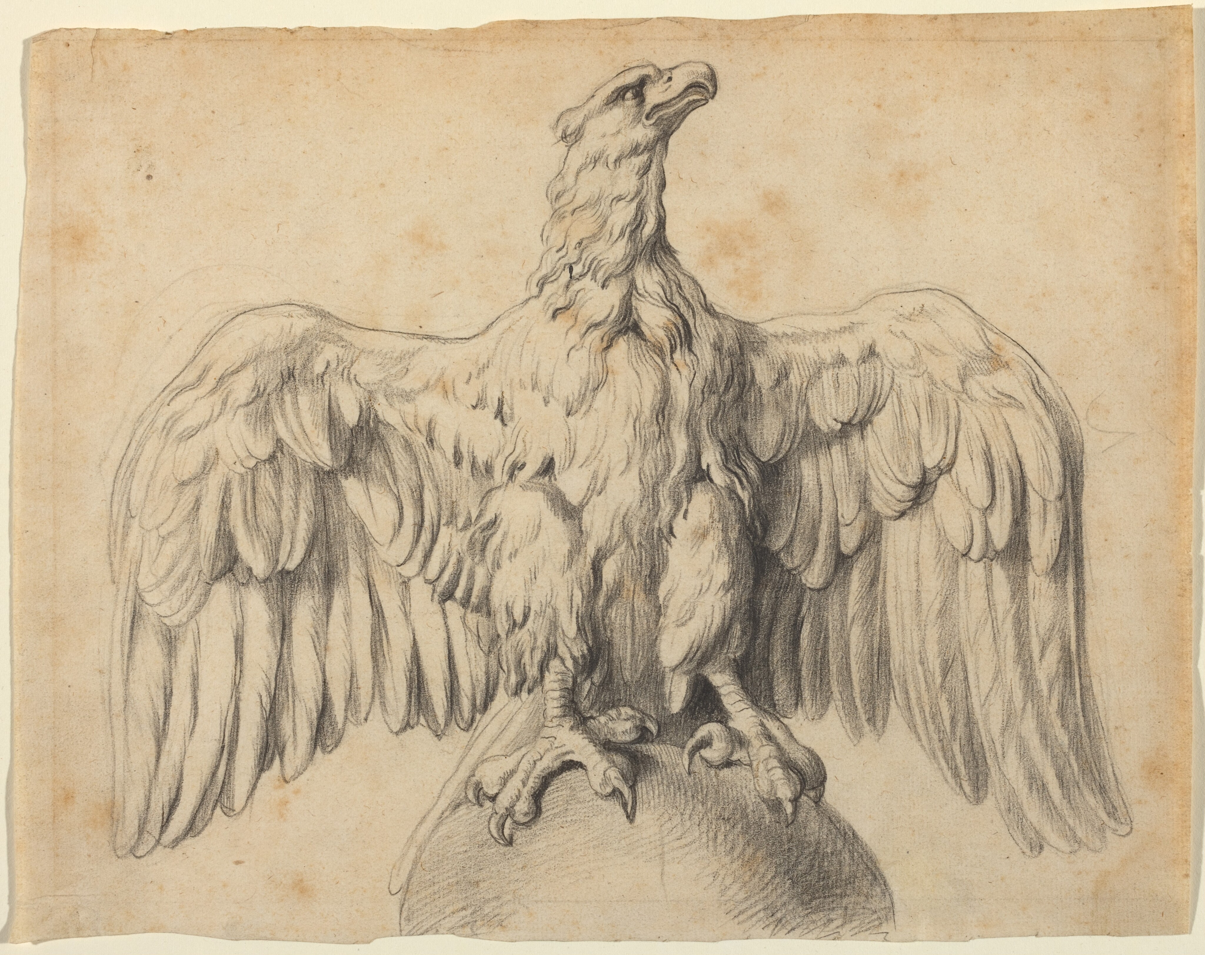 The Capitoline Eagle - Peter Paul Rubens