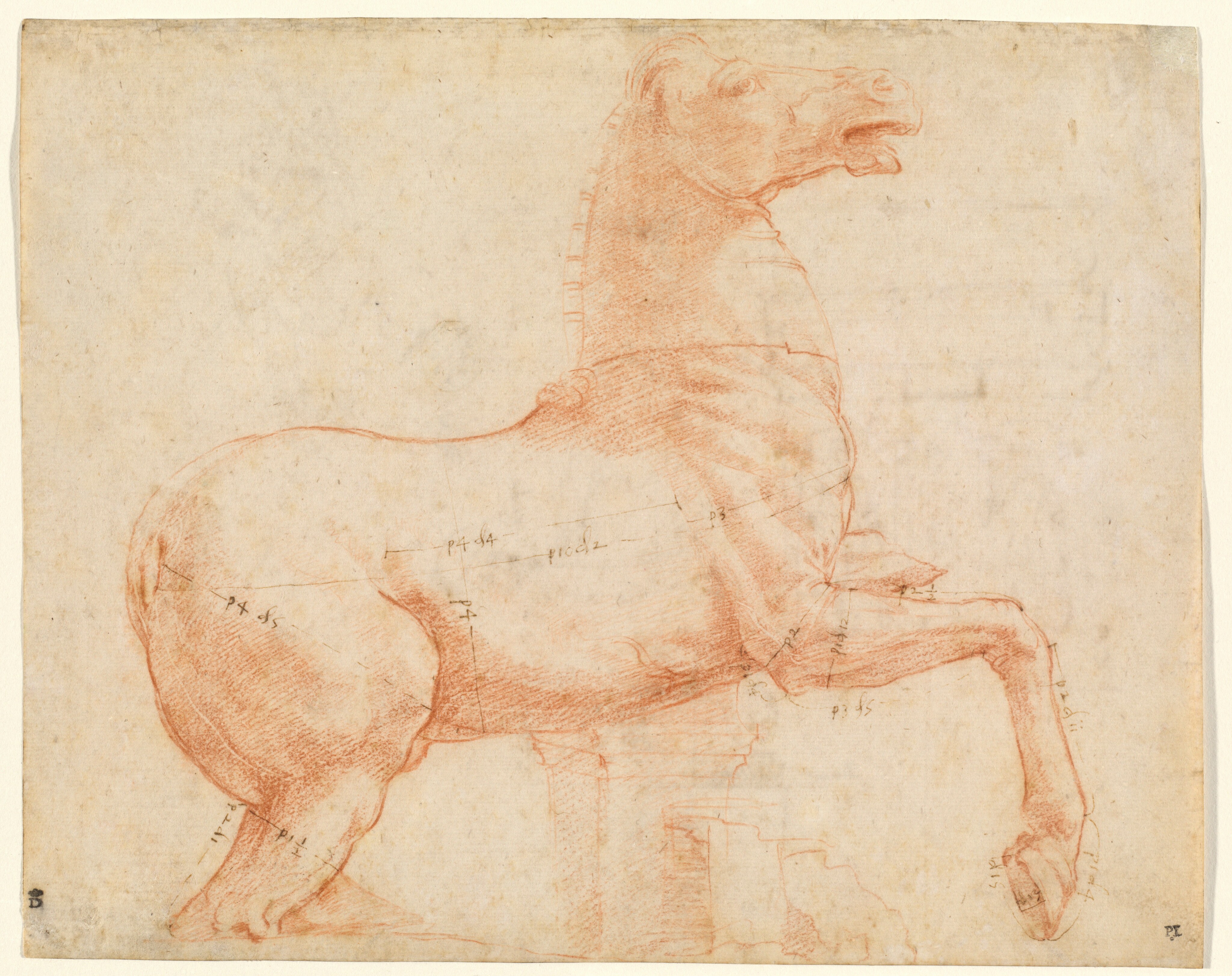 A Marble Horse on the Quirinal Hill [recto] - Raphael